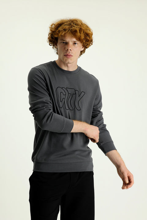 Orta Gri Bisiklet Yaka Slim Fit Dar Kesim Nakışlı Sweatshirt