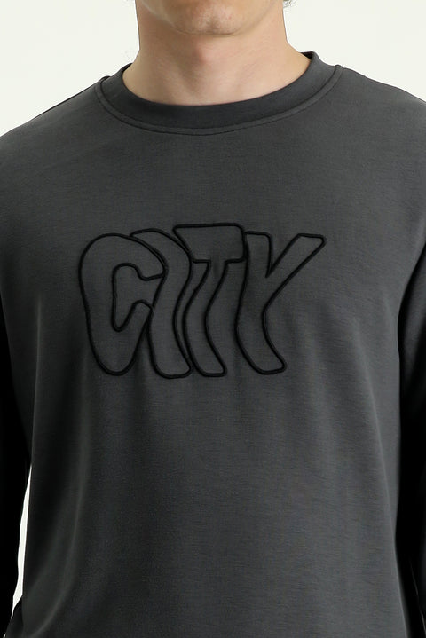 Orta Gri Bisiklet Yaka Slim Fit Dar Kesim Nakışlı Sweatshirt