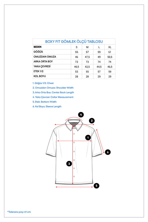 Blue Short Sleeve Regular Fit Linen Cotton Striped Shirt
